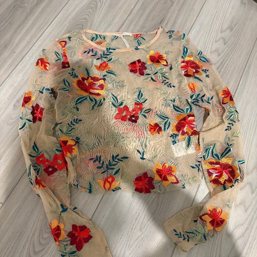 Urban Outfitters Floral Embroidery Sheer Mesh Crop Top